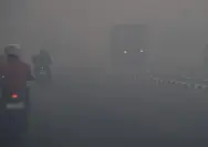 Asap pekat menyelimuti wilayah Kota Palembang akibat kebakaran hutan dan lahan.