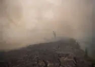 Petugas gabungan berupaya memadamkan titik api di kawasan lahan gambut